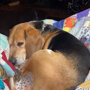 Meet your Posher, Julie